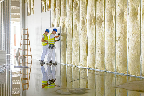 Best Spray Foam Insulation in Staples, CT